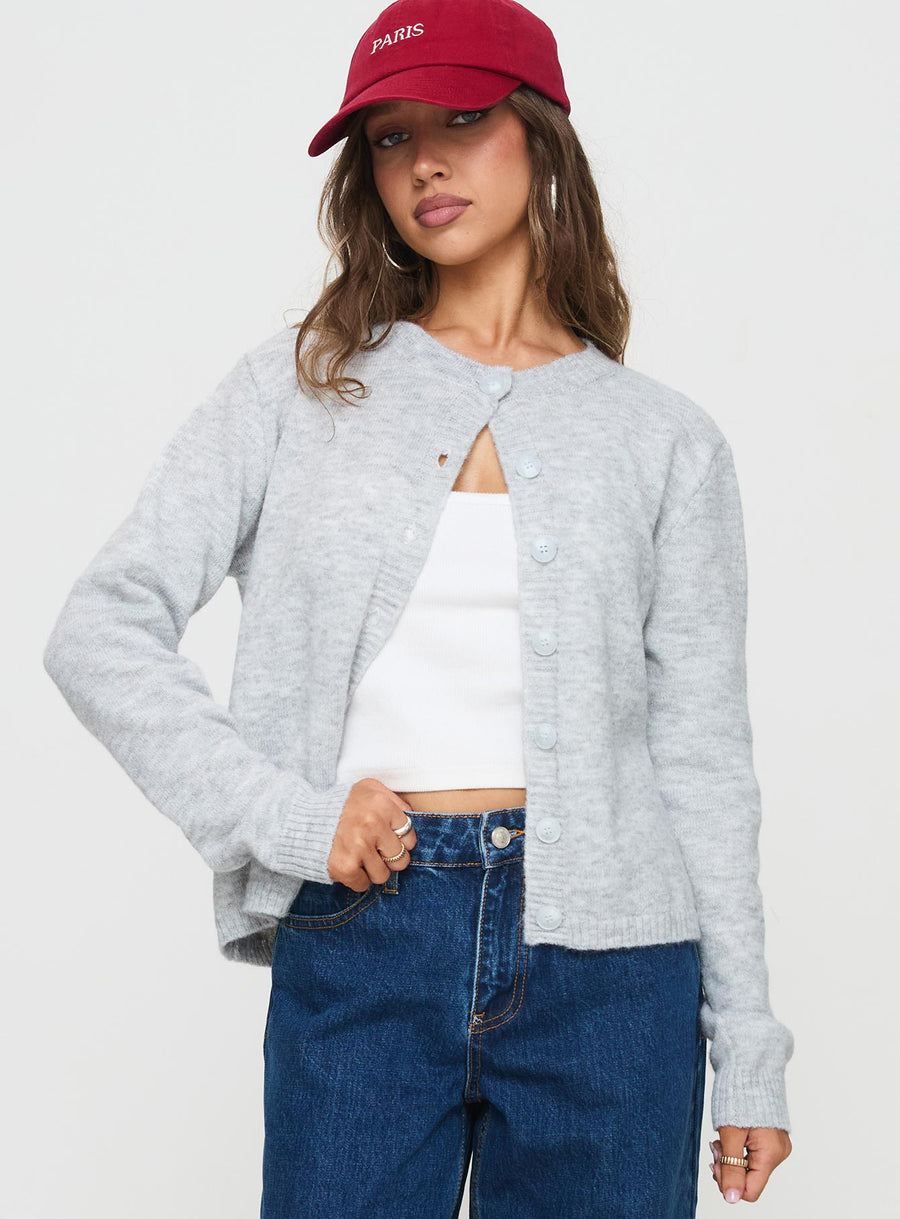 Denmark Cardigan Šedá