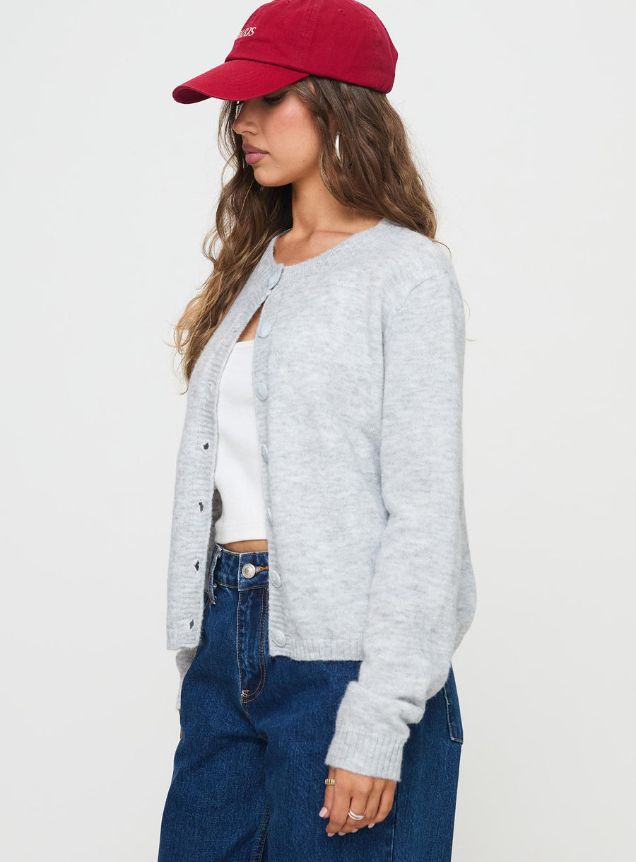 Denmark Cardigan Šedá